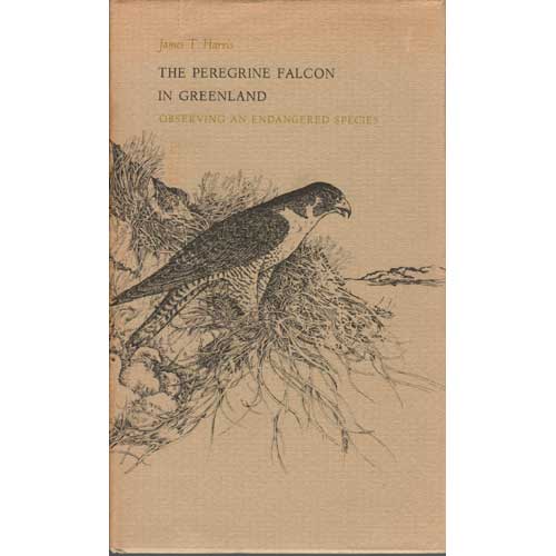 Book cover and/or sample page of The Peregrine Falcon in Greenland: Observing an Endangered Species
