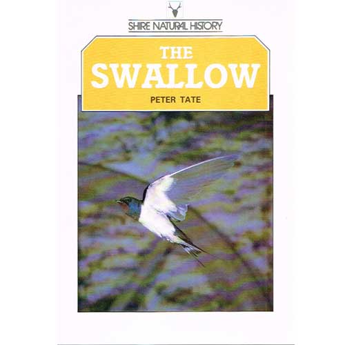 Book cover and/or sample page of The Swallow