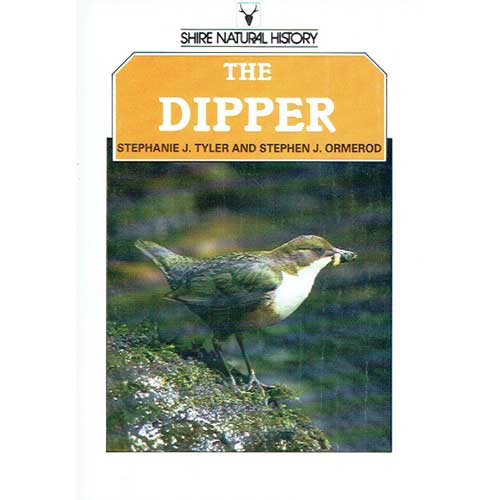 Book cover and/or sample page of The Dipper