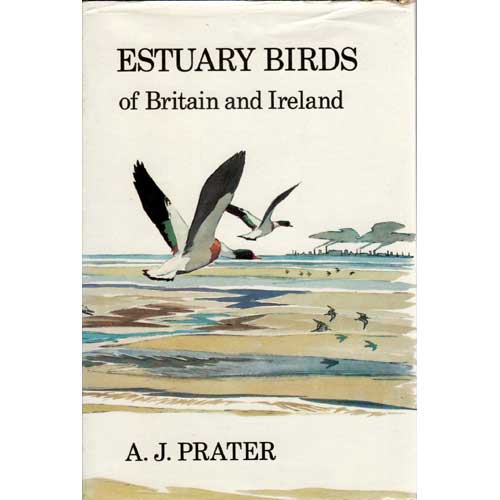 Estuary Birds of Britain and Ireland cover