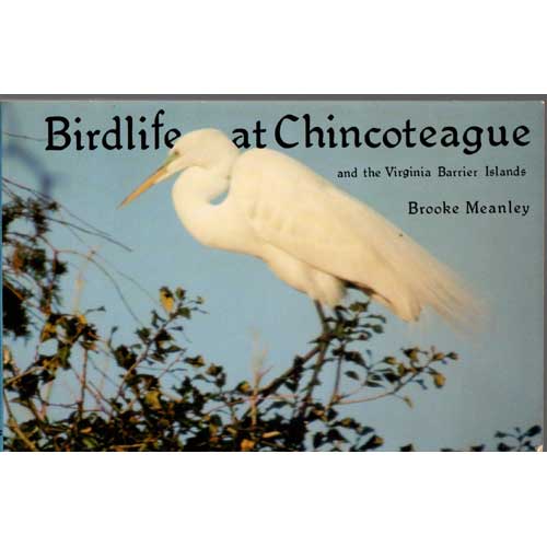 Bird Life at Chincoteague and the Virginia Barrier Islands cover