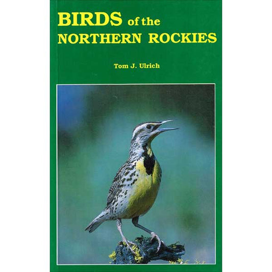 Birds of the Northern Rockies cover
