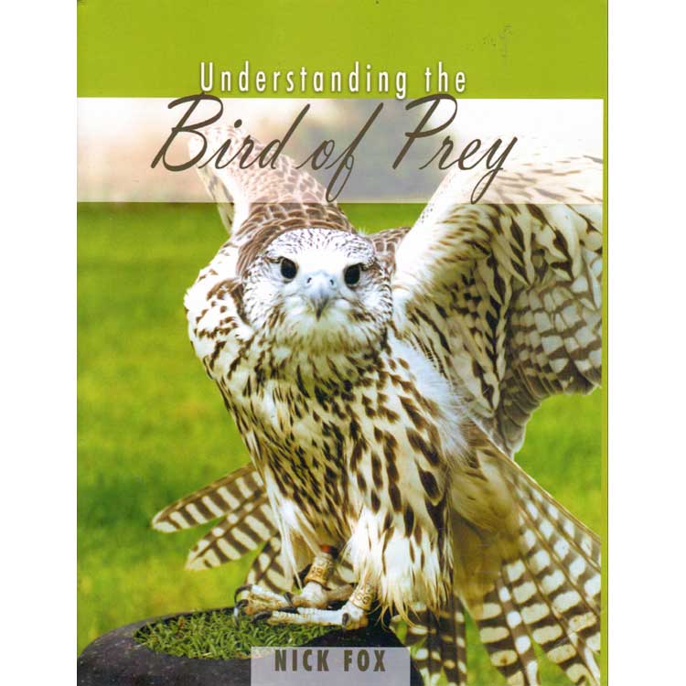Understanding the Bird of Prey [PB] book cover