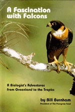 Book cover and/or sample page of A Fascination with Falcons : A Biologist's Adventures from Greenland to the Tropics