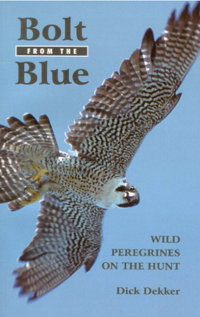Book cover and/or sample page of Bolt from the Blue: Wild Peregrines on the Hunt