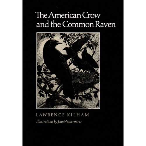The American Crow and the Common Raven cover