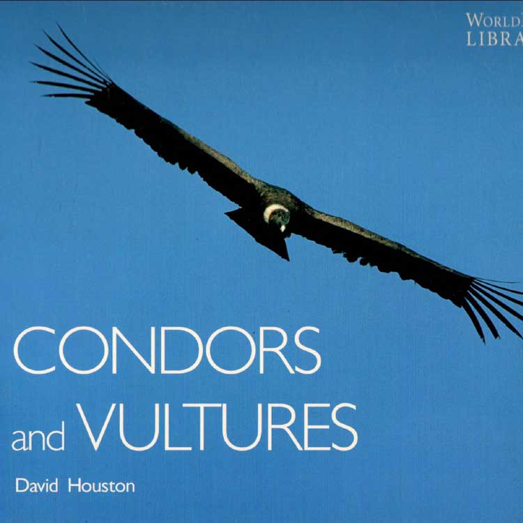 Book cover and/or sample page of Condors and Vultures (WorldLife Library)