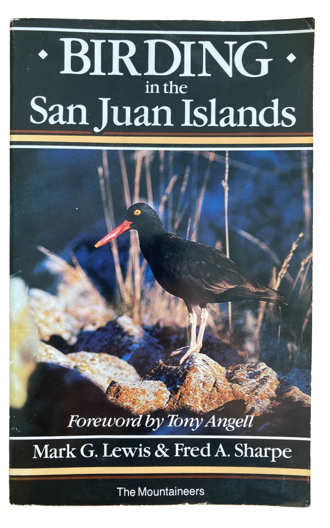 Book cover Birding in the San Juan Islands