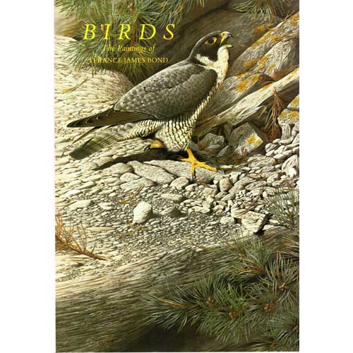 Book cover and/or sample page of Birds: The Paintings of Terance James Bond