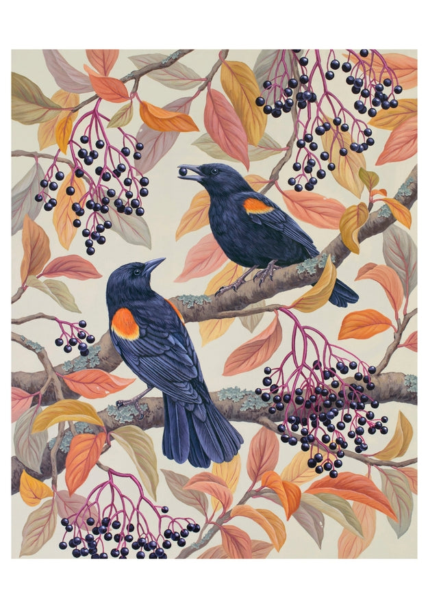 Notecard Set: Birds of a Feather