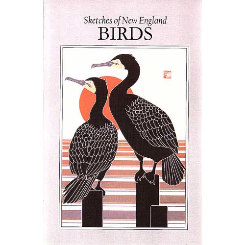 Sketches of New England Birds cover