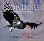 Book cover and/or sample page of Condors in Canyon Country: The Return of the California Condor to the Grand Canyon Region