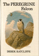 Book cover and/or sample page of The Peregrine Falcon, First Edition
