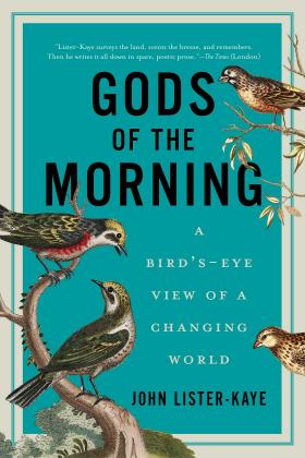 Book cover and/or sample page of Gods of the Morning: A Bird's Eye View of a Changing World