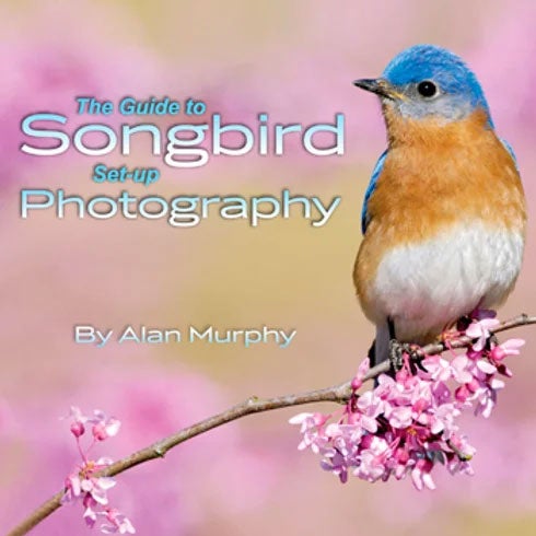 Book cover and/or sample page of The Guide to Songbird Set-Up Photography (e-Book on CD)