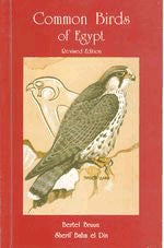 Book cover and/or sample page of Common Birds of Egypt, Revised Edition. With a Checklist of the Birds of Egypt