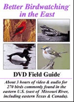Better Birdwatching in the East [DVD] Field Guide cover