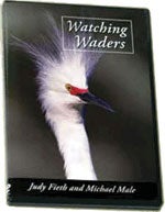 Book cover and/or sample page of Watching Waders: A video guide to long-legged wading birds of the United States and Canada [DVD]