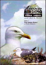 Book cover and/or sample page of Advanced Birding Series: The Large Gulls of North America [DVD]