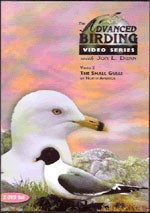 Book cover and/or sample page of Advanced Birding Series: The Small Gulls of North America. 2 DVD set