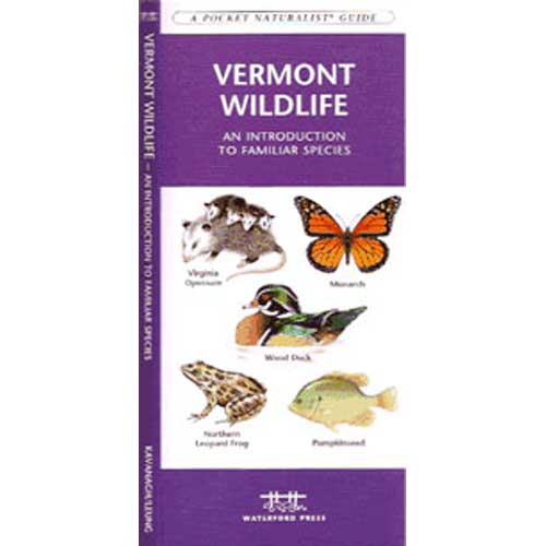 Vermont Wildlife An Introduction to Familiar Species cover