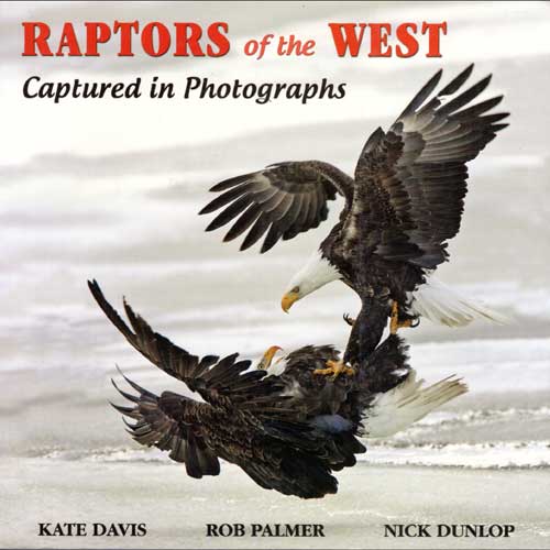 Book cover and/or sample page of Raptors of the West Captured in Photographs [Scratch & Dent]