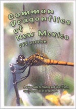 Common Dragonflies of New Mexico [DVD] cover
