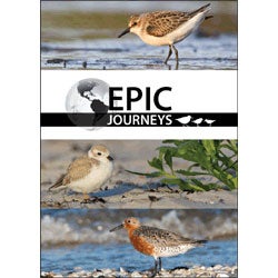 Book cover and/or sample page of Epic Journeys: Tracking the Migrations of Shorebirds in the Western Hemisphere [DVD]