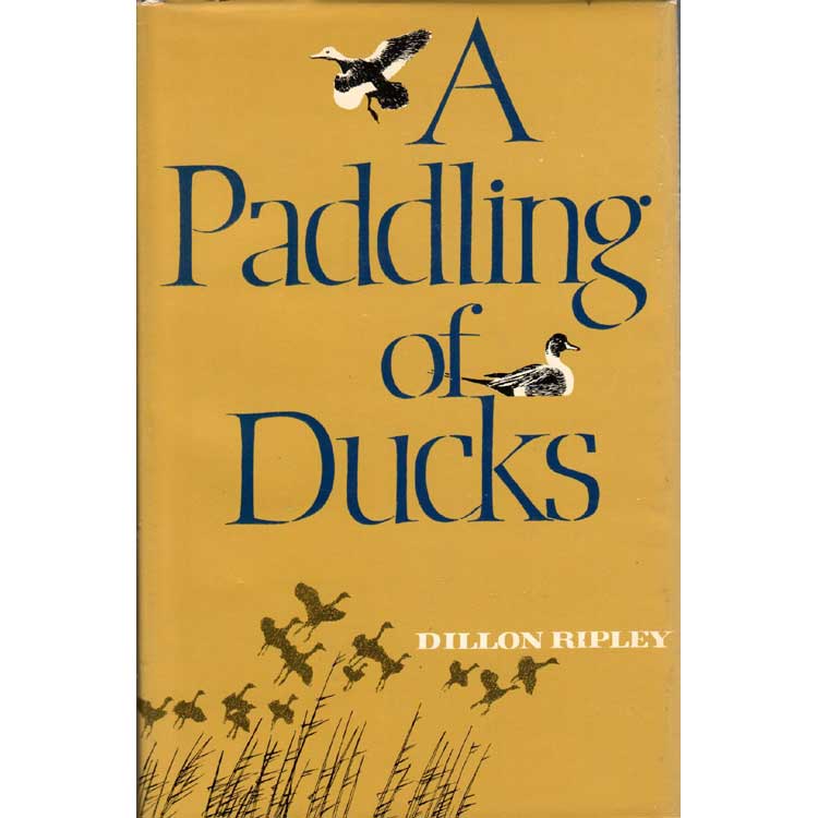 Book cover and/or sample page of A Paddling of Ducks