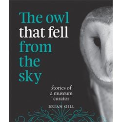 Book cover and/or sample page of The Owl that Fell from the Sky: Stories of a Museum Curator