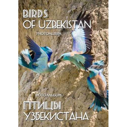 Book cover and/or sample page of Birds of Uzbekistan: Photoalbum