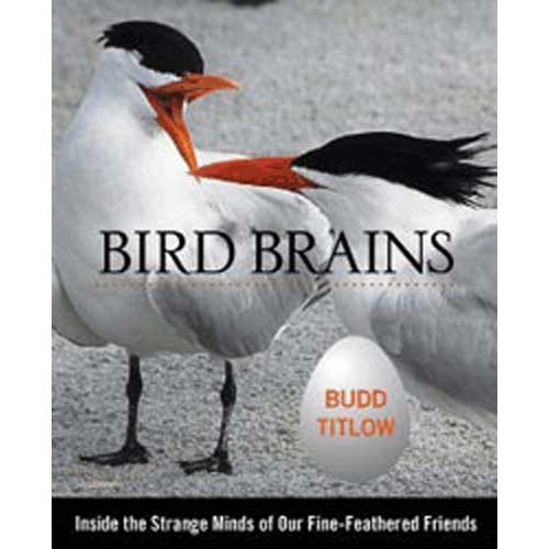 Book cover and/or sample page of Bird Brains: Inside the Strange Minds of Our Fine Feathered Friends