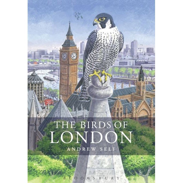 The Birds of London cover