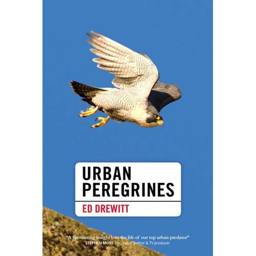 Book cover and/or sample page of Urban Peregrines