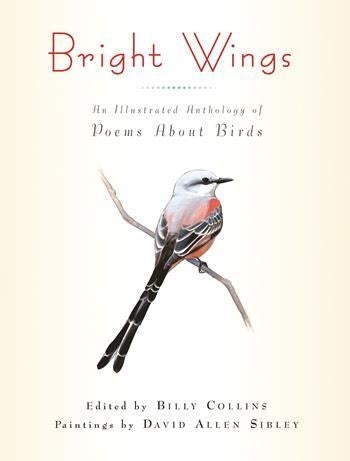 Book cover and/or sample page of Bright Wings: An Illustrated Anthology of Poems About Birds