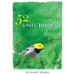 Book cover and/or sample page of 52 Small Birds. Wood Warblers