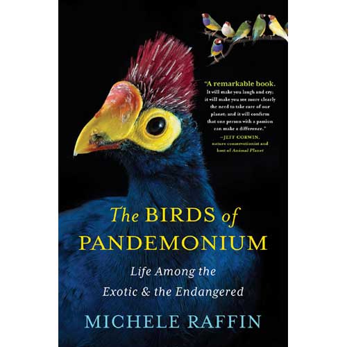Book cover and/or sample page of The Birds of Pandemonium: Life Among the Exotic and Endangered