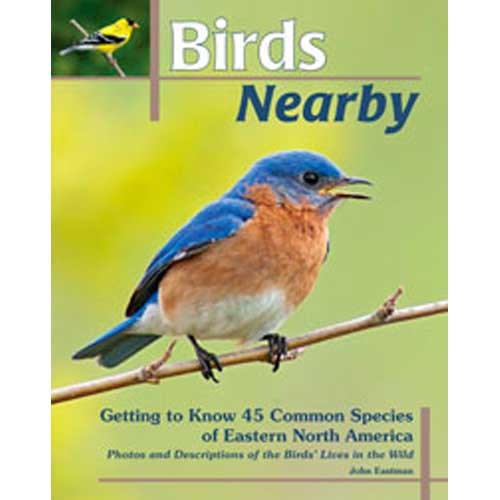 Birds Nearby: Getting to Know 45 Common Species of Eastern North America cover