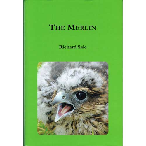 Book cover and/or sample page of The Merlin