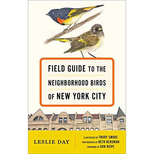 Field Guide To The Neighborhood Birds of New York City [PB] cover