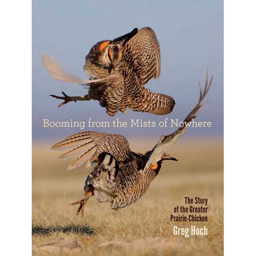 Booming from the Mists of Nowhere cover