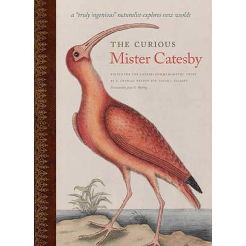 Book cover and/or sample page of The Curious Mister Catesby: A Truly Ingenious Naturalist Explores New Worlds