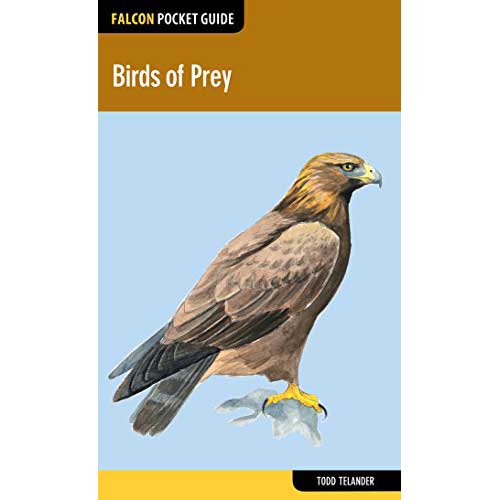 Book cover and/or sample page of Falcon Pocket Guide: Birds of Prey