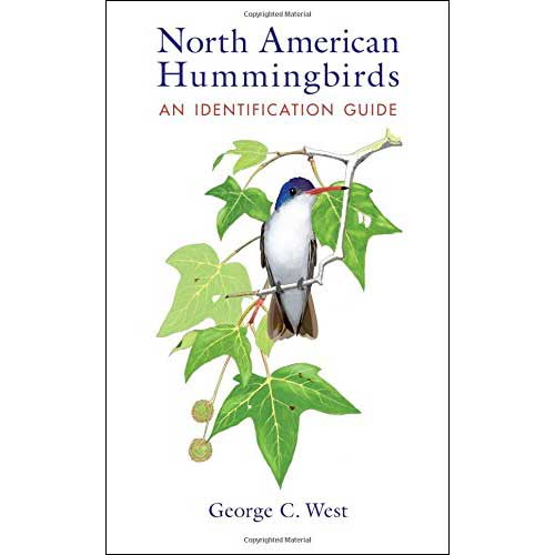 Book cover and/or sample page of North American Hummingbirds: An Identification Guide