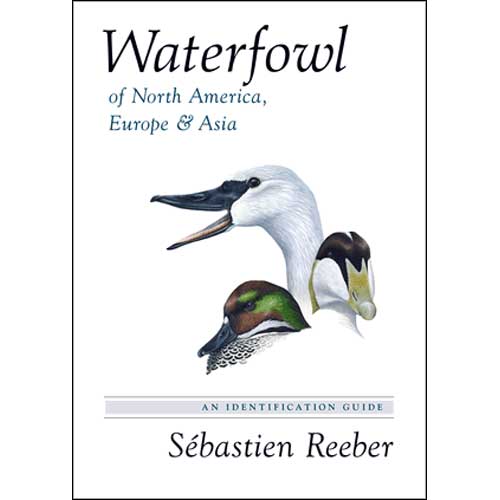 Waterfowl of North America, Europe, and Asia: An Identification Guide cover