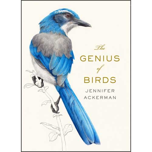 Book cover and/or sample page of The Genius of Birds [HC]