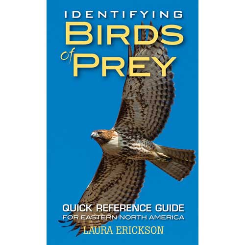 Book cover and/or sample page of Identifying Birds of Prey: Quick Reference Guide for Eastern North America