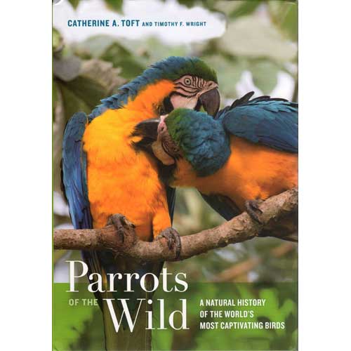 Book cover and/or sample page of Parrots of the Wild: A Natural History of the World's Most Captivating Birds