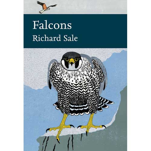 Book cover and/or sample page of Falcons. New Naturalists Number 132 [PB]