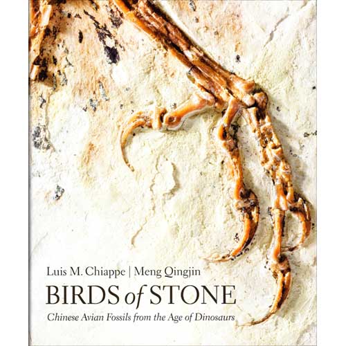 Book cover and/or sample page of Birds of Stone: Chinese Avian Fossils from the Age of Dinosaurs